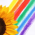 yellow-flower-illustration-1172542